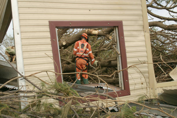 Trusted Allen, TX Tree Services Experts